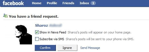 new-friend-confirm-lg new-friend-confirm-lg