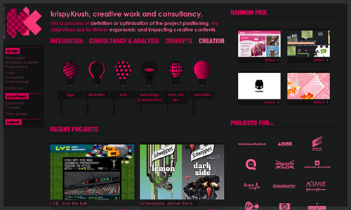 wordpress cms