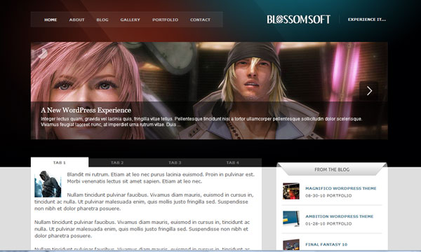 wordpress themes 2010