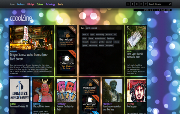 wordpress theme magazine