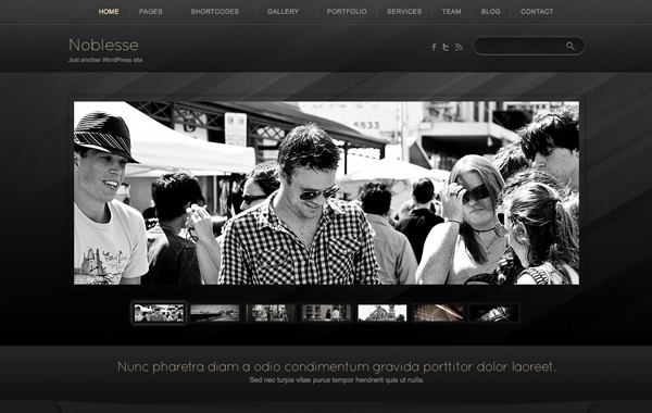 noblesse wordpress theme